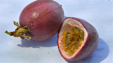 passiflora meyvesi ekşi